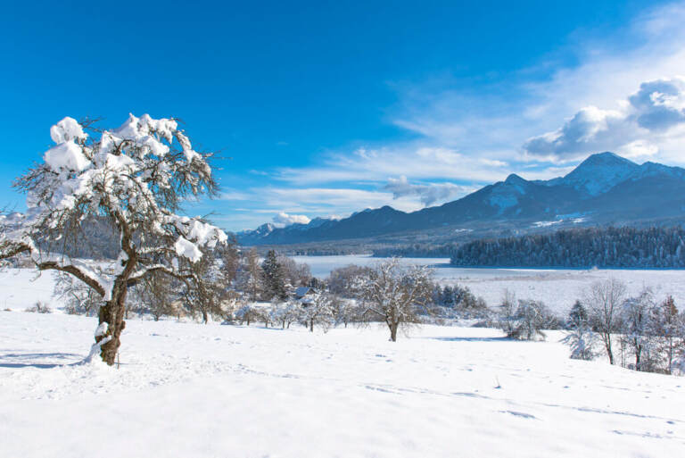 Faaker See im Winter Region Villach Tourismus GmbH Franz Gerdl