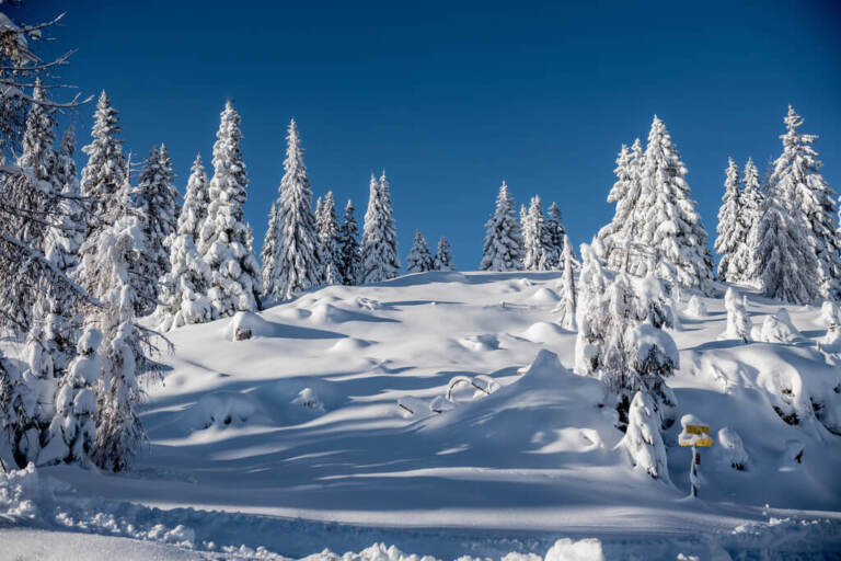 Dobratsch Winterwandern Region Villach Tourismus GmbH Luca Tribondeau