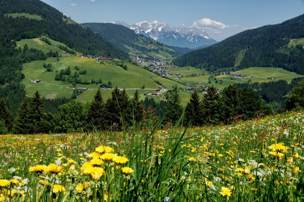 Sommer in Wildschönau