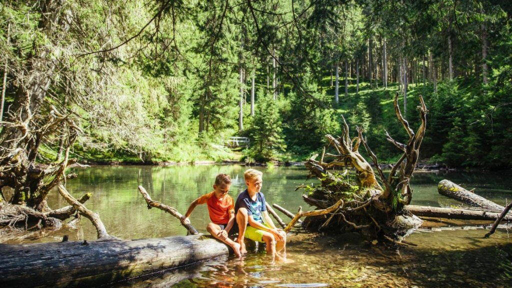 Waldkinder © salzburgerland.com