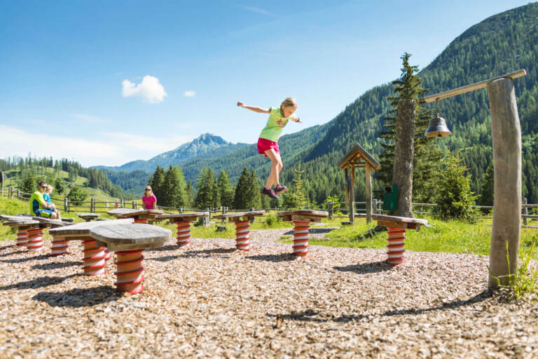 Alles Alm in Radstadt – Bild 4 von 11