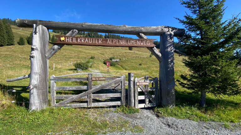 Wandern in Saalbach Hinterglemm – Bild 4 von 63