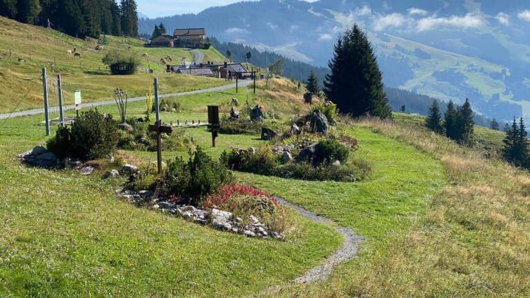 Wandern in Saalbach Hinterglemm – Bild 8 von 63