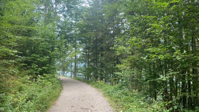 Malerischer Rundwanderweg<br>am Hintersee in der Fuschlseeregion – Bild 17 von 19