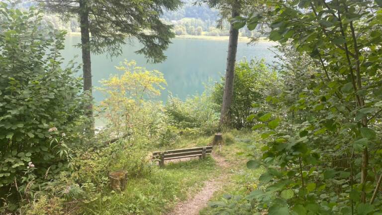 Malerischer Rundwanderweg<br>am Hintersee in der Fuschlseeregion – Bild 16 von 19