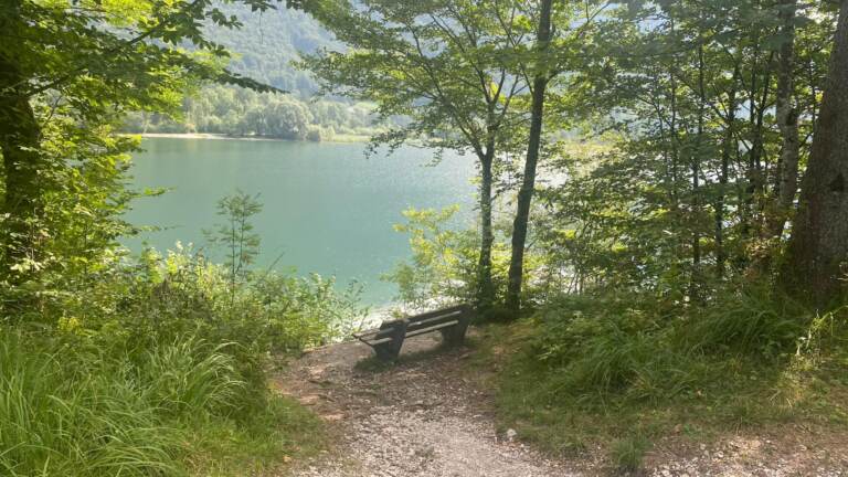 Malerischer Rundwanderweg<br>am Hintersee in der Fuschlseeregion – Bild 15 von 19