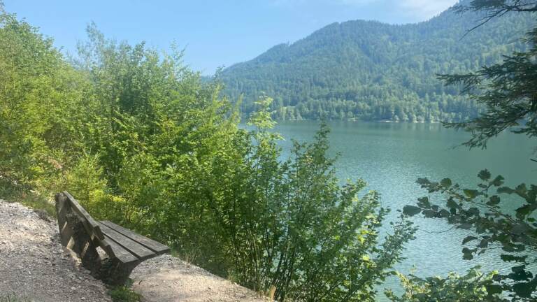 Malerischer Rundwanderweg<br>am Hintersee in der Fuschlseeregion – Bild 14 von 19