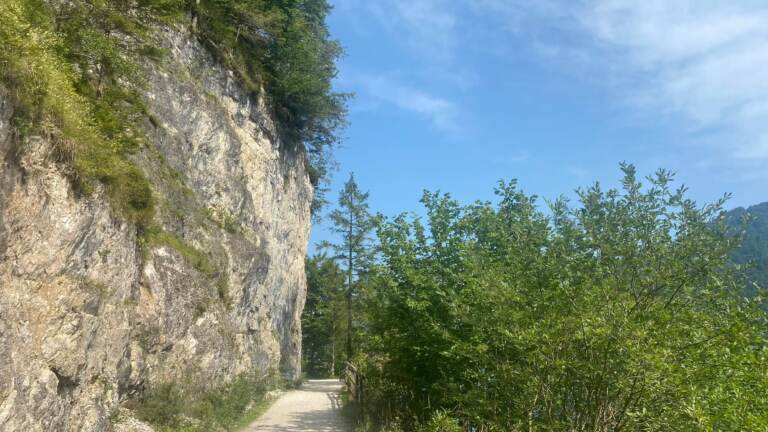 Malerischer Rundwanderweg<br>am Hintersee in der Fuschlseeregion – Bild 13 von 19