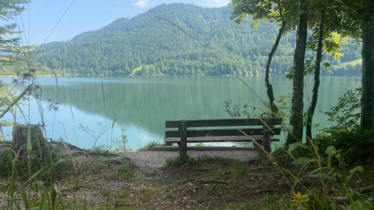 Malerischer Rundwanderweg<br>am Hintersee in der Fuschlseeregion – Bild 11 von 19