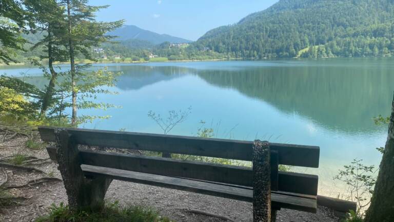 Malerischer Rundwanderweg<br>am Hintersee in der Fuschlseeregion – Bild 10 von 19