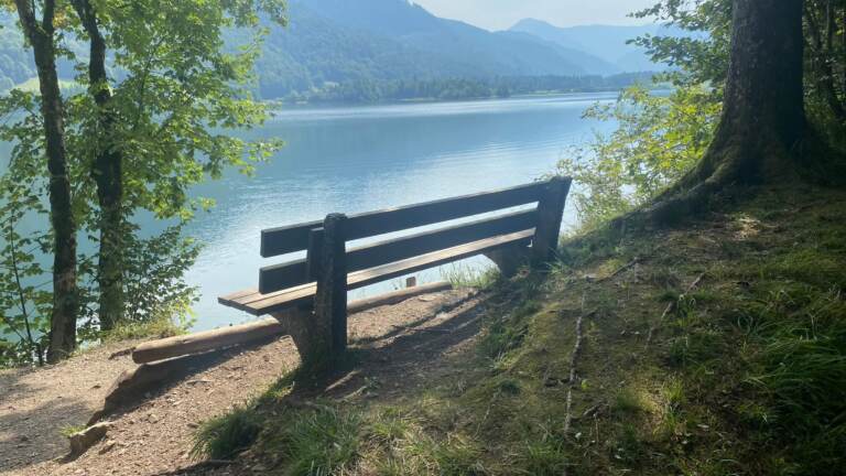 Malerischer Rundwanderweg<br>am Hintersee in der Fuschlseeregion – Bild 6 von 19