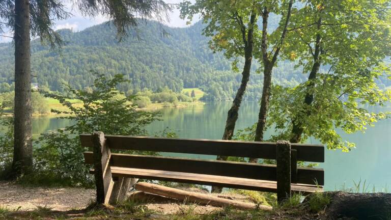 Malerischer Rundwanderweg<br>am Hintersee in der Fuschlseeregion – Bild 5 von 19