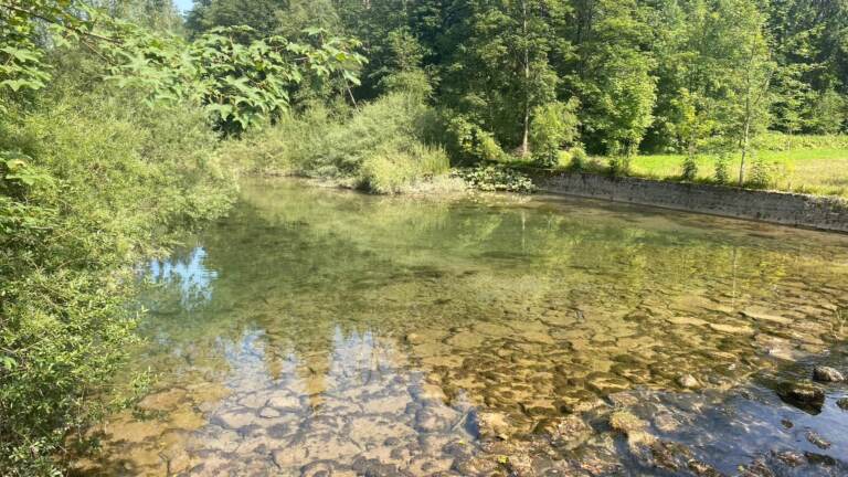 Malerischer Rundwanderweg<br>am Hintersee in der Fuschlseeregion – Bild 4 von 19