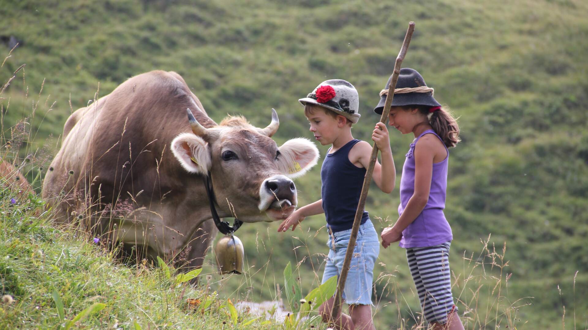 Bregenzerwald Kaesewanderung: Kulinarik trifft Alpenidylle
