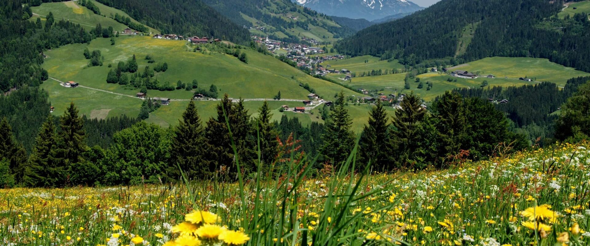 Familienurlaub Wildschönau