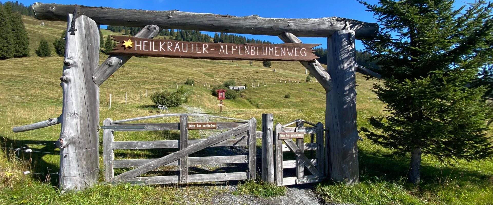 Wandern in Saalbach Hinterglemm: unsere Woche im Glemmtal