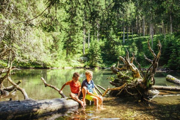 Die Vielfalt der Natur kennenlernen