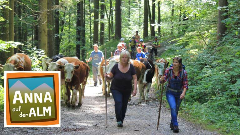 Vorschaubild: Anna auf der Alm