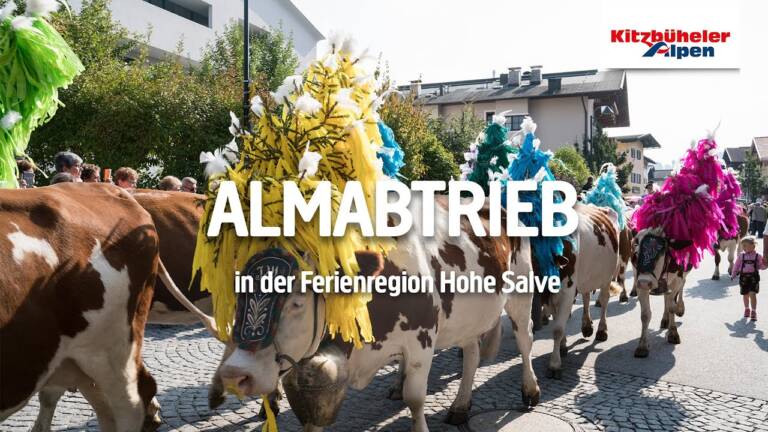 Vorschaubild: Hier tanzen die Kühe
