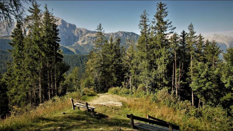 Vorschaubild: Zinkenkogel Wanderung