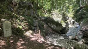 Holztreppe und Schautafel neben einem großen Felsblock am Bachlauf im Aigner Park in Salzburg-Aigen
