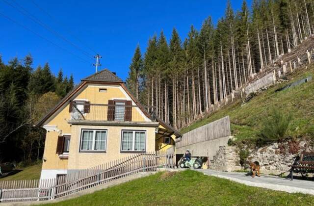 Hütte in Rettenegg