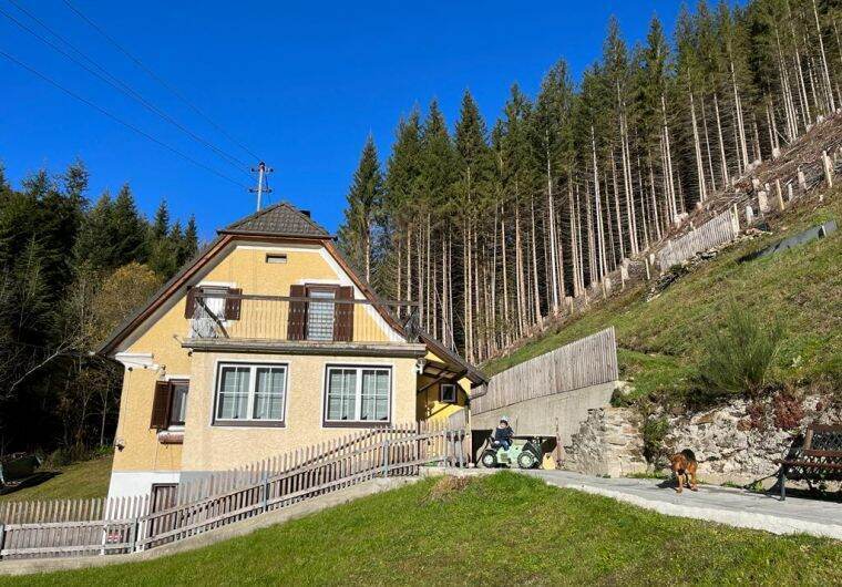 Hütte in Rettenegg