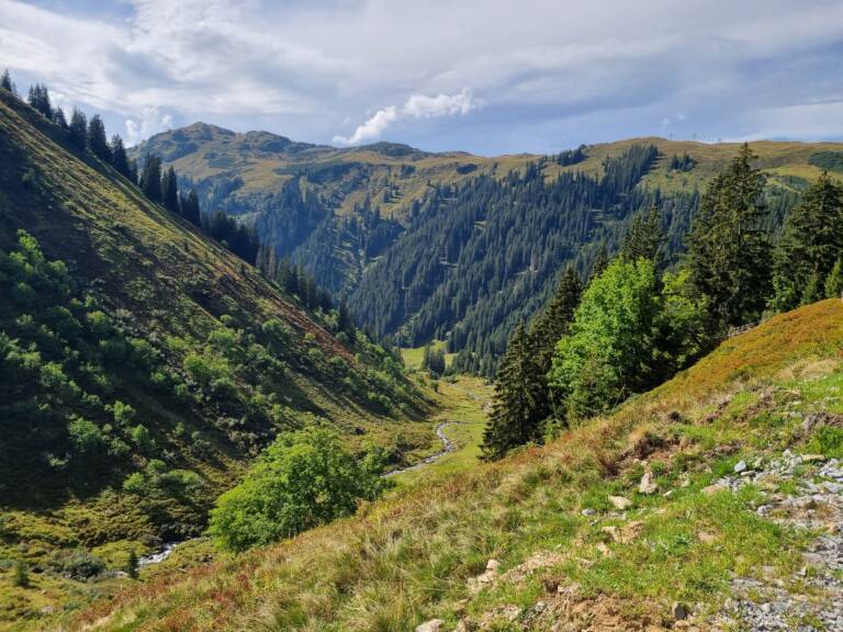 Blick Richtung Muttjöchle