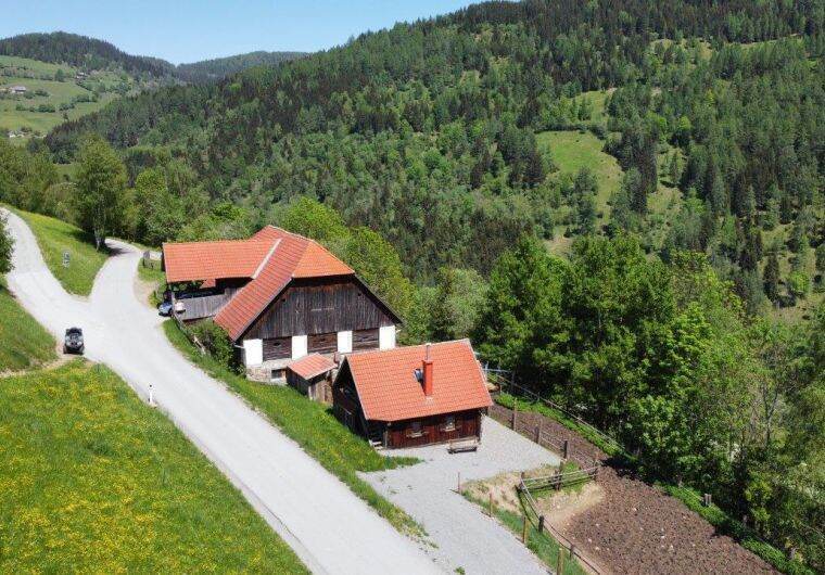 Hütte in St. Georgen Murau für 2 Personen