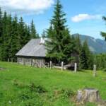 Chalet in Gosau für 10 Personen