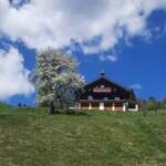 Chalet in Saalbach Viehhofen für 12 Personen