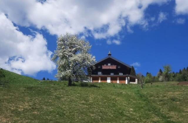 Chalet in Saalbach Viehhofen für 12 Personen