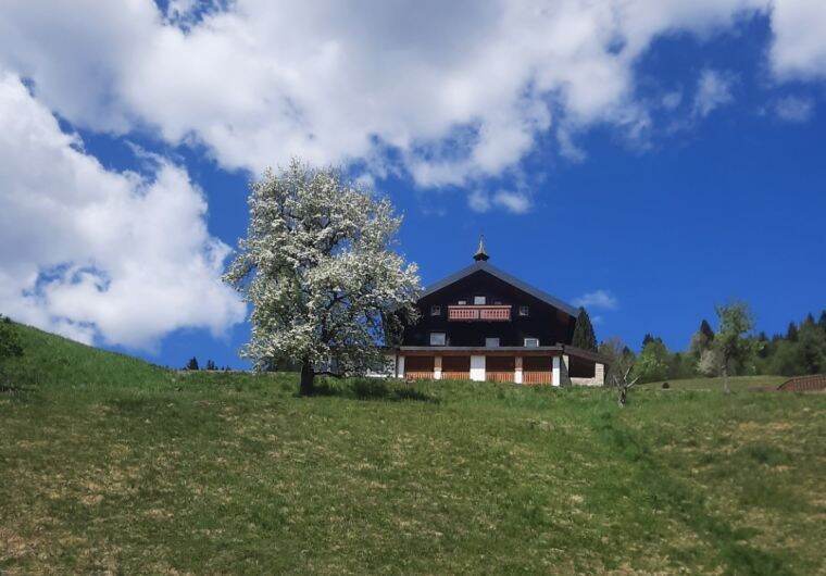 Chalet in Saalbach Viehhofen für 12 Personen
