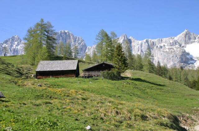 Hütte in Ramsau für 4 Personen (LIT-STM)