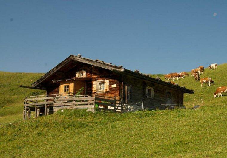 Hütte in Lofer für 8 Personen