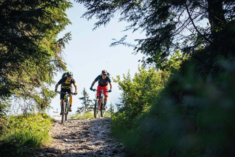 Mountainbiker auf der Rossstelle Mellau