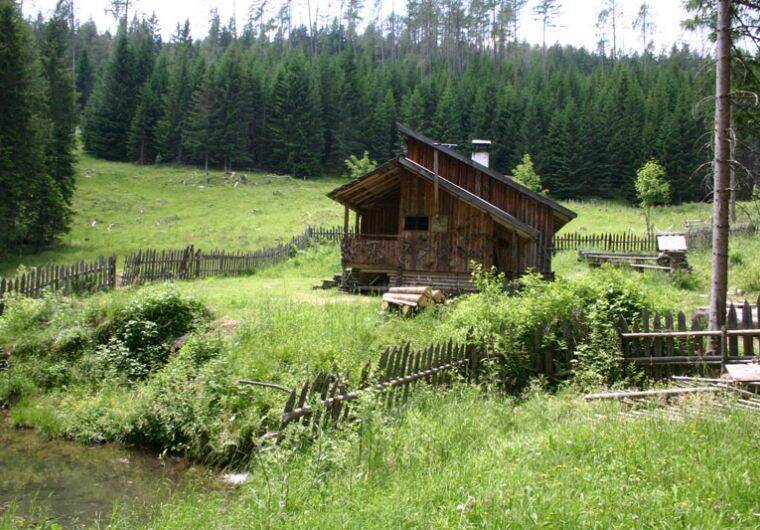 Hütte in Zederhaus für 9 Personen