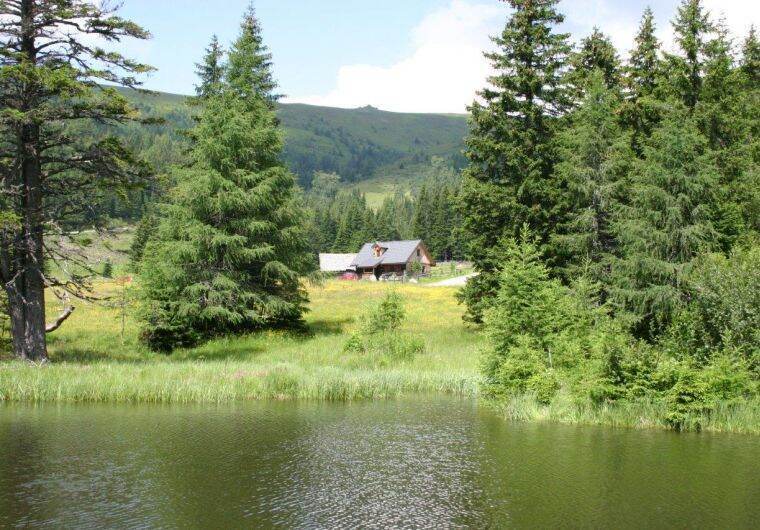 Hütte in Lachtal für 12 Personen