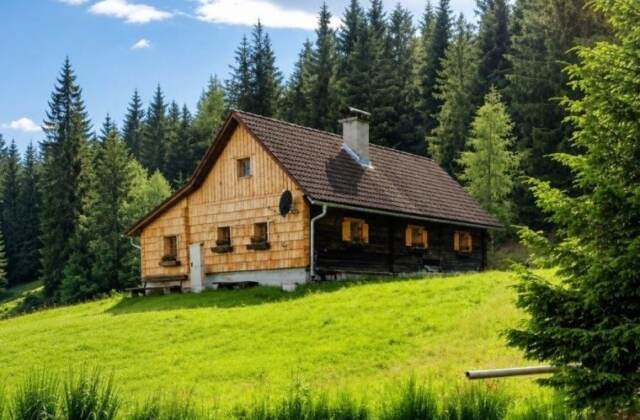 Hütte in Murau für 6 Personen