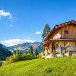 Hütte in Heutal für 8 Personen (TAL-SBG)