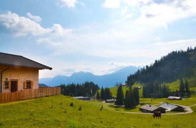 Hütte in Lofer für 10 Personen (UHL-SBG)