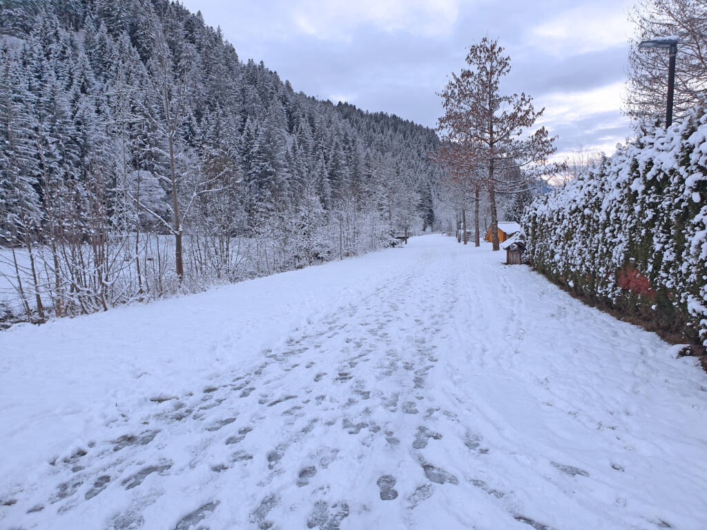 Bodensee und Rheintal: Sanfte Wanderungen in Vorarlberg