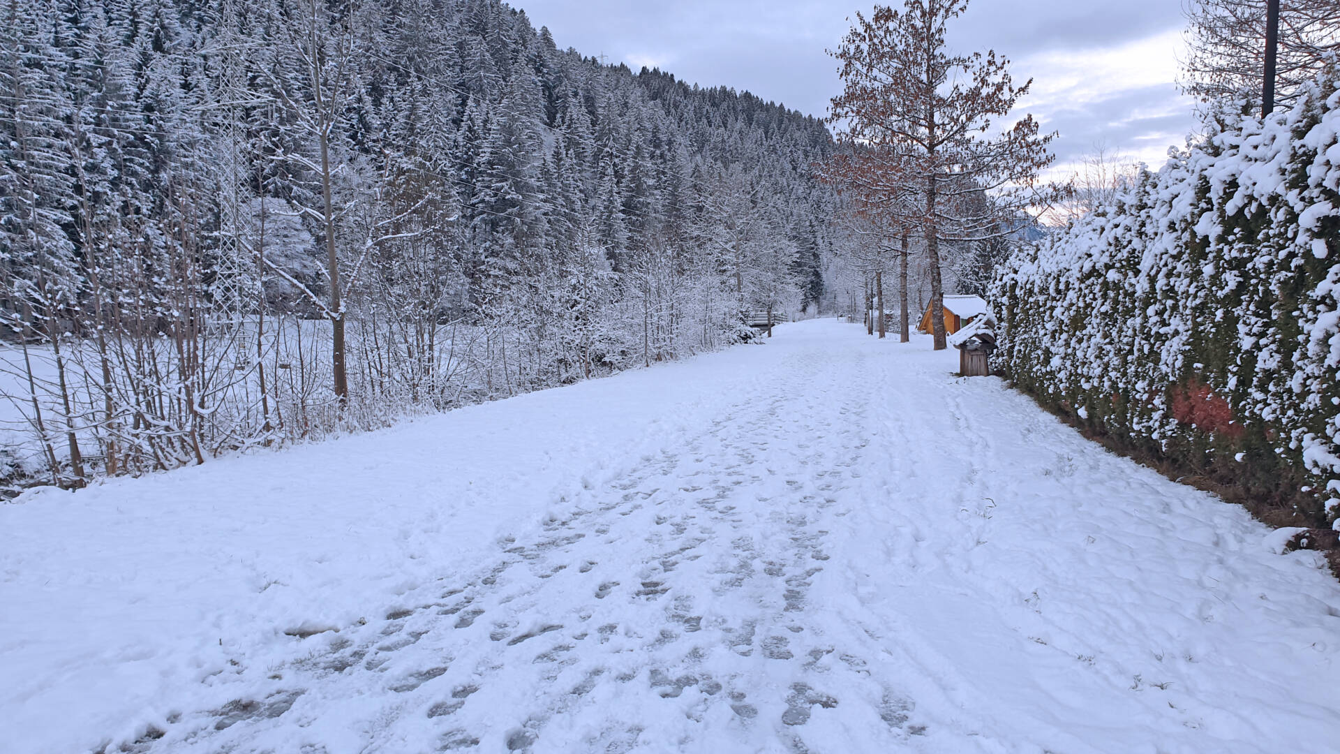 Bodensee und Rheintal: Sanfte Wanderungen in Vorarlberg
