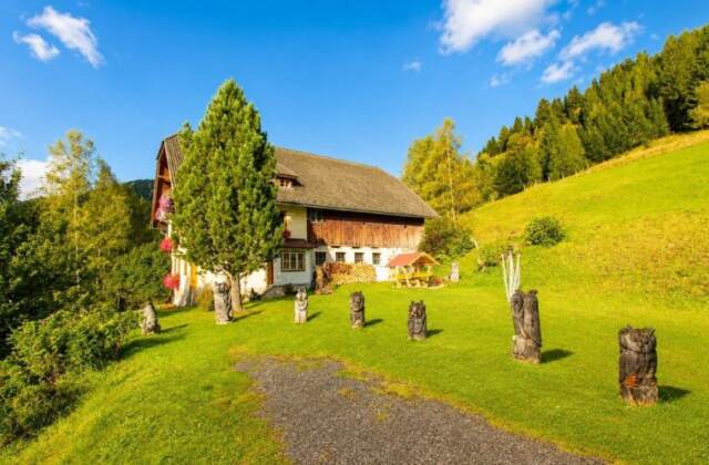 Hütte in Zederhaus für 9 Personen (ZED-SBG)