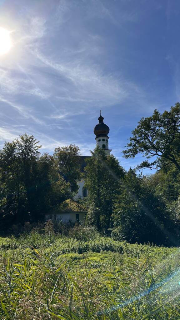Blick über das Schilf zum Zwiebelturm von Höglwörth