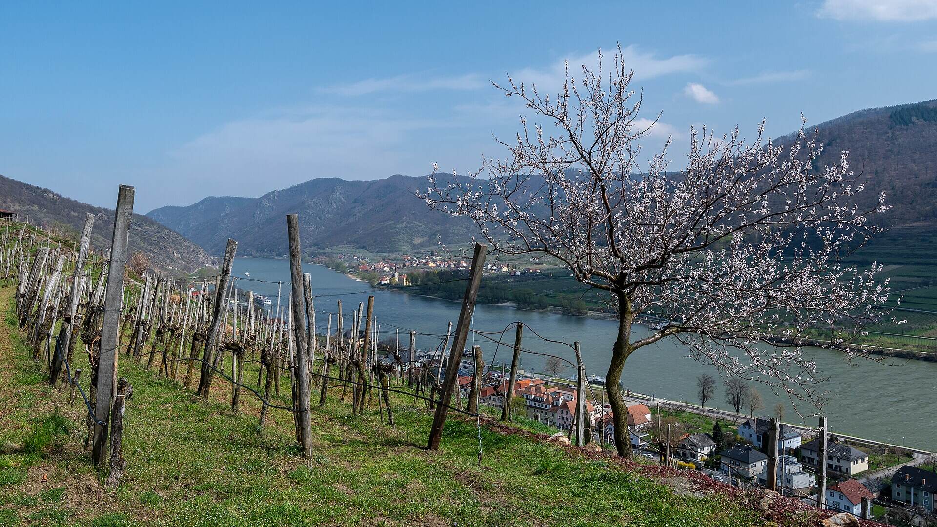 Frühling in Österreich – Die schönsten Ausflüge im April