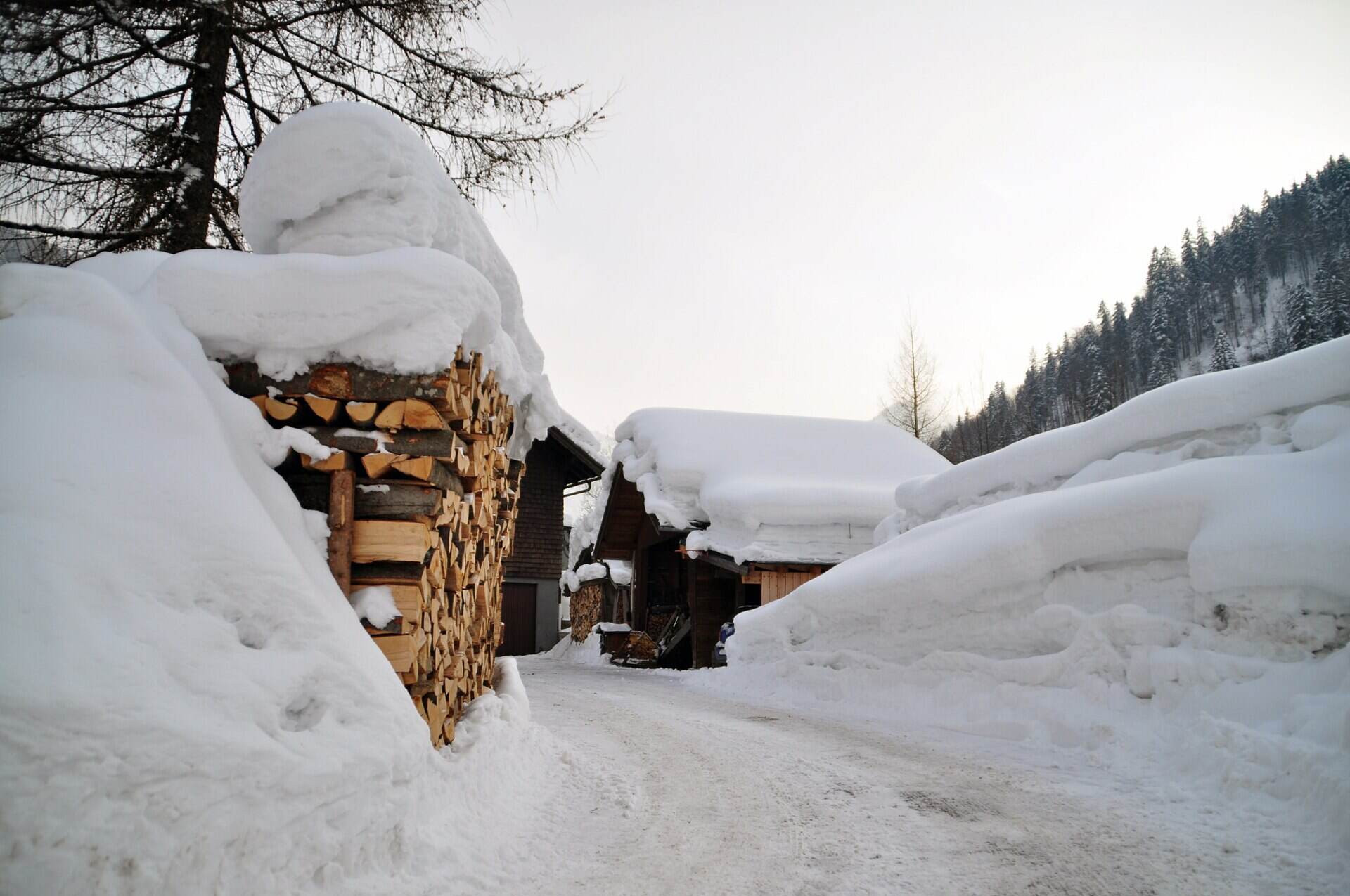 Tief verschneiter Weg mit Holzstößen und Stadeln in Hintersee im Salzburger Flachgau