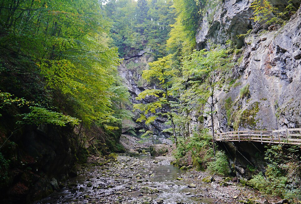 Enge Felsschlucht mit Wasserlauf in der Rappenlochschlucht bei Dornbirn